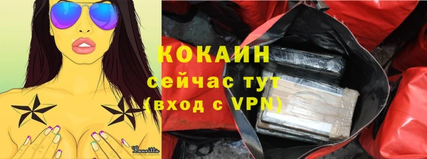 ешки Аркадак