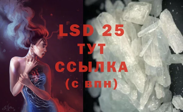 ешки Аркадак