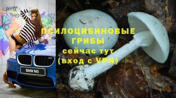 мескалин Арсеньев