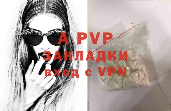 ешки Аркадак