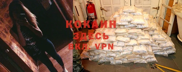 мескалин Арсеньев
