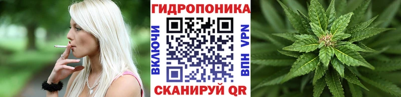 нарко площадка клад  Бабушкин  Шишки марихуана тримм 